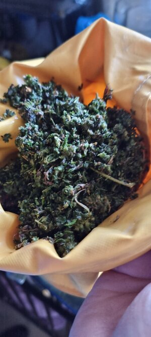 20240115_110716.jpg 20240115_110716.jpg