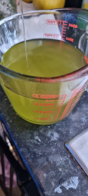 20240115_110731.jpg 20240115_110731.jpg