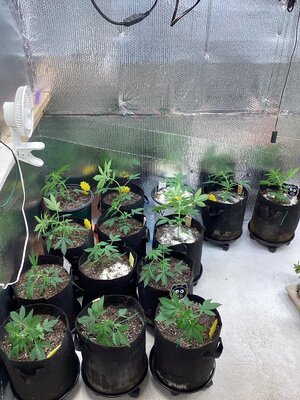 IMG_0040.jpeg IMG_0040.jpeg