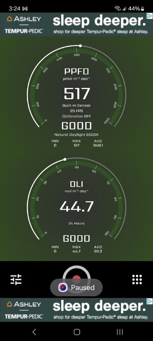 Screenshot_20240131_152403_PPFD Meter.jpg