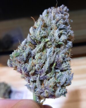 20240123_211815.jpg 20240123_211815.jpg