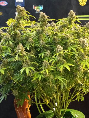 20240107_110114 (1).jpg