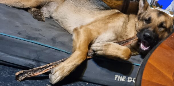 20240320_193453.jpg 20240320_193453.jpg