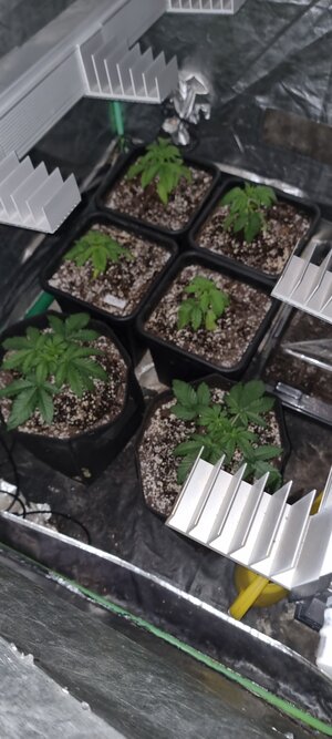 20240325_145835.jpg 20240325_145835.jpg