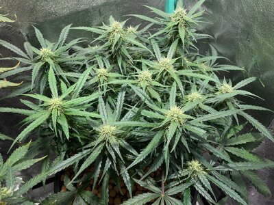 today 8 april 24 - 3.jpeg