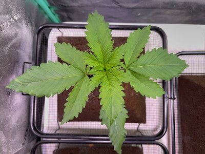 BPP - 6.jpeg BPP - 6.jpeg