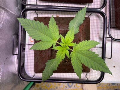 BPP - 8.jpeg BPP - 8.jpeg