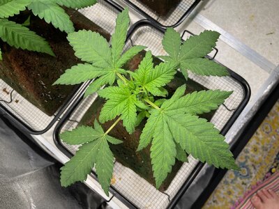 BPP - 12.jpeg BPP - 12.jpeg