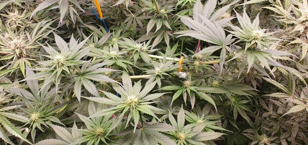 20240522_092145.jpg 20240522_092145.jpg