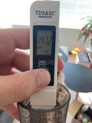 440738246_2422233808166295_3367376733743064432_n.jpg 440738246_2422233808166295_3367376733743064432_n.jpg