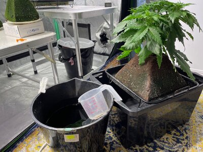 bpp - 8.jpeg bpp - 8.jpeg