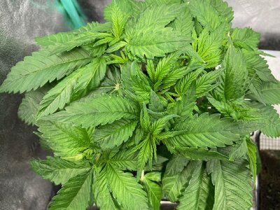 bpp - 6.jpeg bpp - 6.jpeg