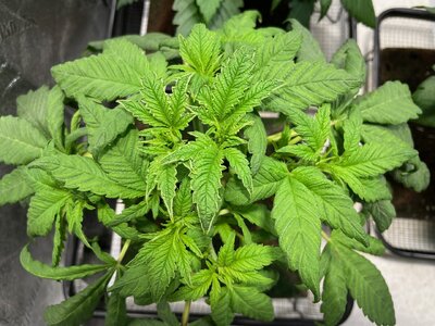 bpp - 5.jpeg bpp - 5.jpeg