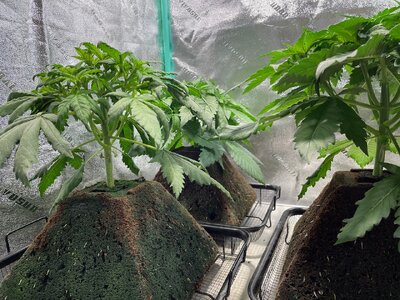 bpp - 4.jpeg bpp - 4.jpeg