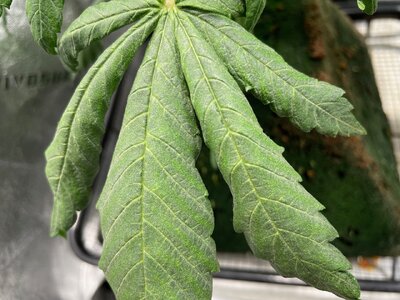 bpp - 3.jpeg bpp - 3.jpeg