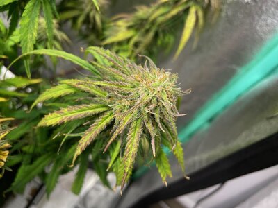 june2 - 4.jpeg june2 - 4.jpeg