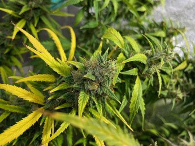 june2 - 5.jpeg june2 - 5.jpeg