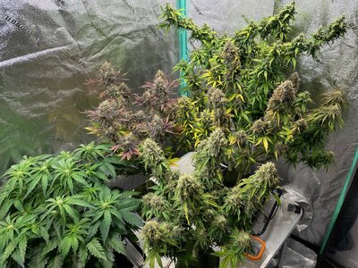 june2 - 6.jpeg june2 - 6.jpeg