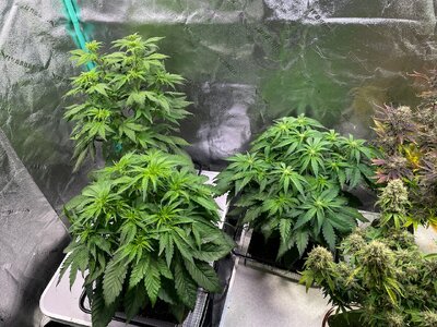 june2 - 7.jpeg june2 - 7.jpeg