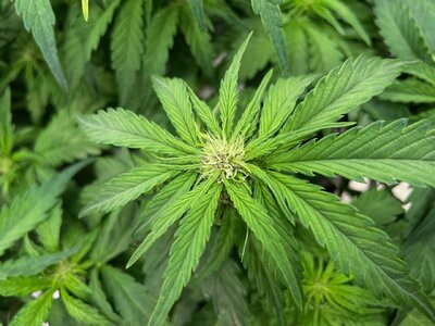 june2 - 9.jpeg june2 - 9.jpeg