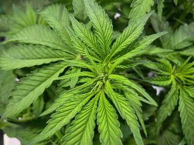 june2 - 10.jpeg june2 - 10.jpeg