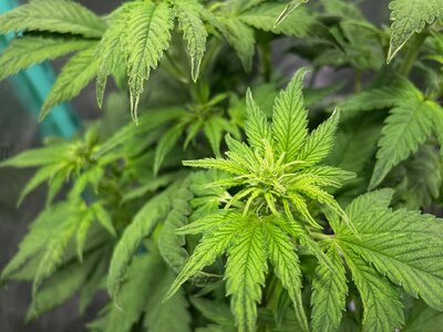 june2 - 11.jpeg june2 - 11.jpeg