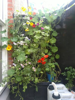 IMG_20240608_084102.jpg IMG_20240608_084102.jpg