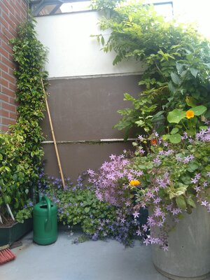 IMG_20240608_090311.jpg IMG_20240608_090311.jpg