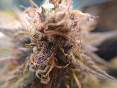 IMG_2024-06-13-07-47-47-736.jpg IMG_2024-06-13-07-47-47-736.jpg