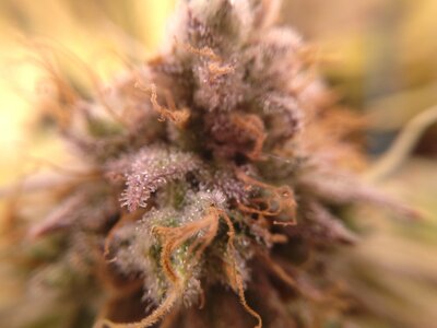 IMG_2024-06-13-07-47-37-677.jpg IMG_2024-06-13-07-47-37-677.jpg