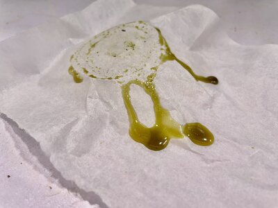 rosin - 2.jpeg rosin - 2.jpeg