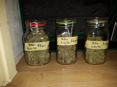 IMG_20240623_070902.jpg IMG_20240623_070902.jpg