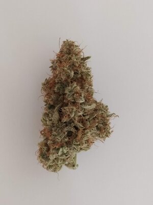 IMG_20240706_073553.jpg IMG_20240706_073553.jpg