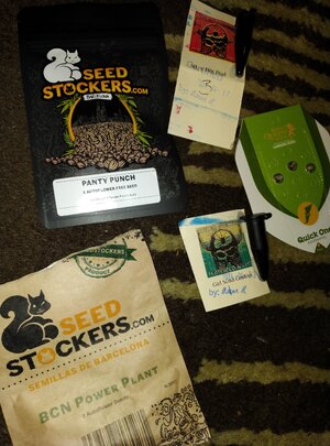 IMG_20240809_160839.jpg IMG_20240809_160839.jpg