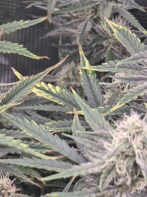 20240812_021625.jpg 20240812_021625.jpg