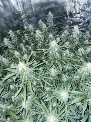 20240812_143008.jpg 20240812_143008.jpg