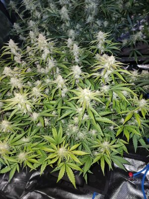 20240812_142723.jpg 20240812_142723.jpg