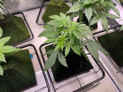 day and night - 2.jpeg