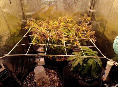 Let's blow something up