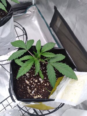 20240924_184247.jpg 20240924_184247.jpg