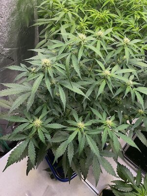 22-10-24 - 4.jpeg 22-10-24 - 4.jpeg