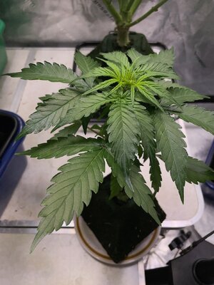 22-10-24 - 5.jpeg 22-10-24 - 5.jpeg