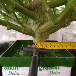 20241103_224338.jpg 20241103_224338.jpg