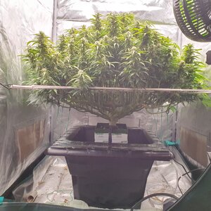 20241103_224226.jpg 20241103_224226.jpg