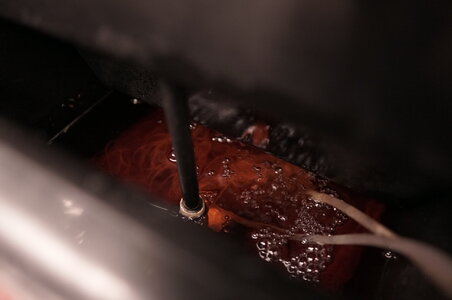 DSC03833.JPG DSC03833.JPG