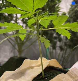 wk11 - 3.jpeg wk11 - 3.jpeg