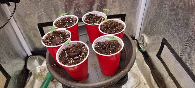 20241119_111136.jpg 20241119_111136.jpg