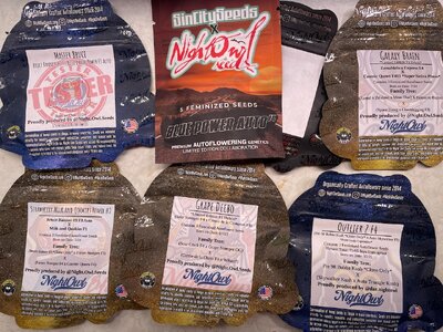 PlanB - 1.jpeg PlanB - 1.jpeg