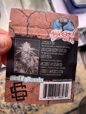 Mango and BP - 1.jpeg Mango and BP - 1.jpeg