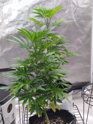 20250101_041139.jpg 20250101_041139.jpg